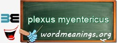 WordMeaning blackboard for plexus myentericus